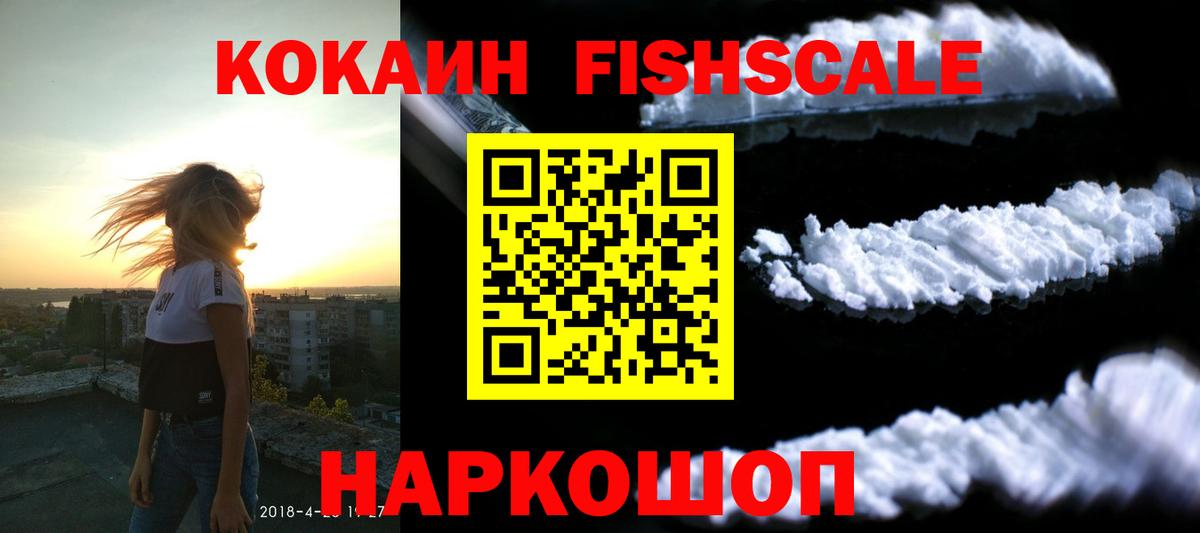 Кокаин Fish Scale  COCAIN  купить   Элиста  Cocaine 97%  Вход с VPN 