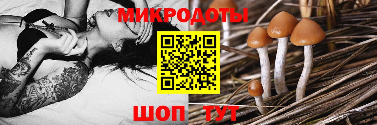 Галлюциногенные грибы мухоморы  Вход с VPN  Элиста  Галлюциногенные грибы мухоморы 